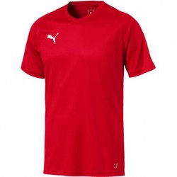 T-shirt PUMA Koszulka Męska treningowa piłkarska 703509 01